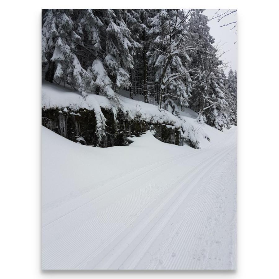 알테나우 Harz Zeit 아파트 외부 사진